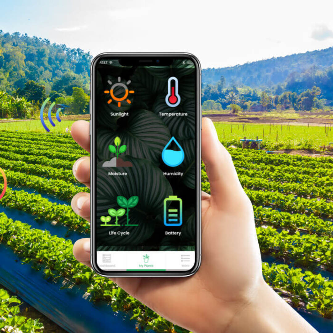 Smart Agriculture